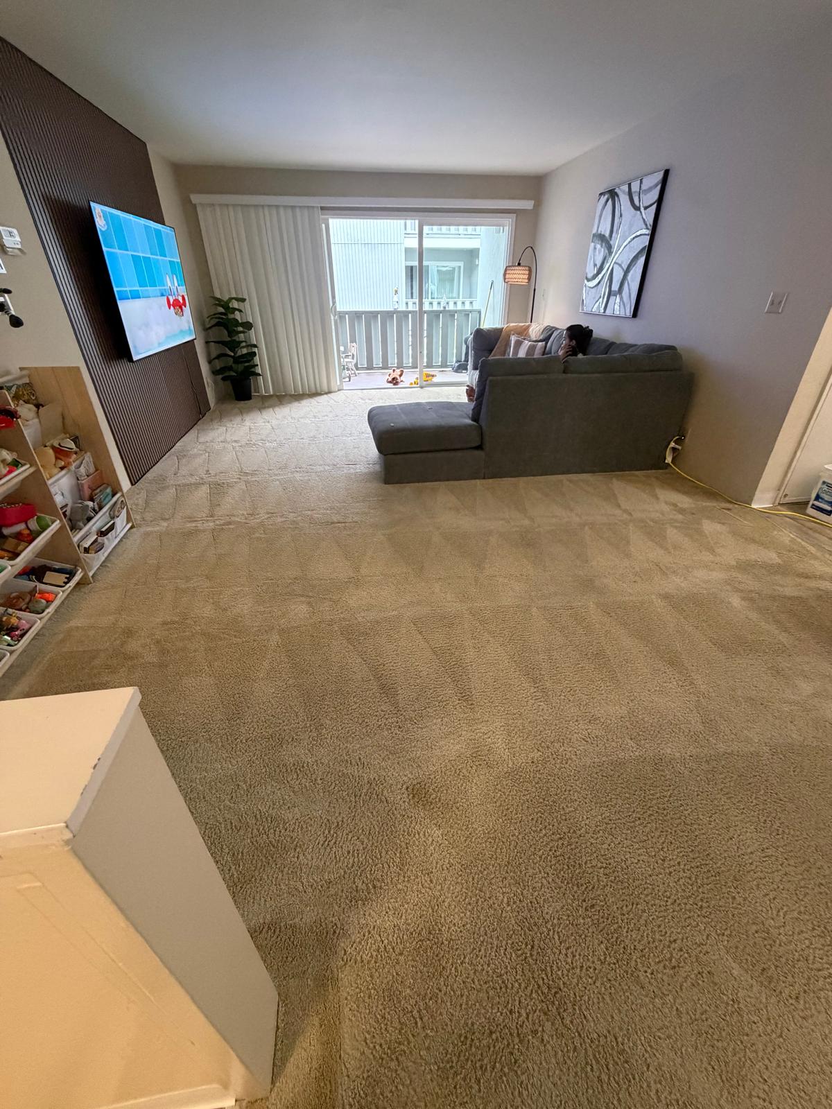 Recent Bay Area cleaning job 4